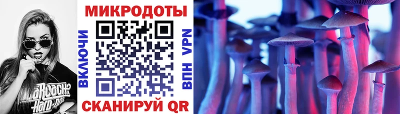 Псилоцибиновые грибы GOLDEN TEACHER  Ленинградская 